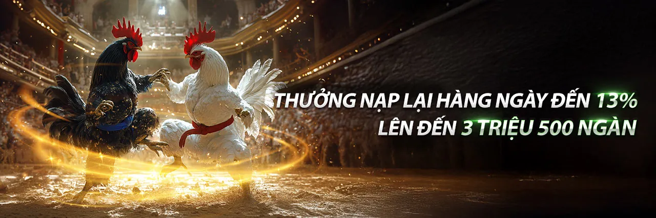 Hình ảnh đại diện hz88c nhà cái và tầm nhìn